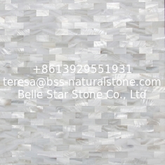 China Handmade Beautiful Sea shell Wall Mosaic Panel Freshwater Shell Decorating Panel 10x20mm supplier