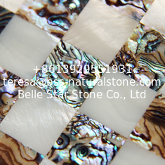 China Natural Sea shell Wall Covering Freshwater Shell Mixed Abalone Shell Decorating Wall Panel supplier