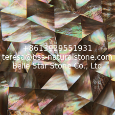 China Natural Seashell Wall Covering Penguin Shell Decorating Wall Panel Triangle Pieces 10-35mm supplier