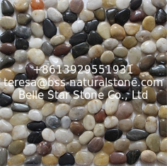 China Colorful Pebble Mosaic,Mixed Colors Cobble Stone On Mesh,River Stone Mosaic Sheet,Meshed Pebbles supplier