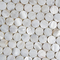 Handmade Beautiful Sea shell Mosaic Freshwater Shell Mosaic Small Round Pieces in Dia 25mm supplier