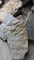 Blue Quartzite Random Flagstone Crazy Stone Irregular Flagstone Quartzite Landscaping Stones supplier