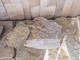 New Oyster Quartzite Random Stone,Loose Stone Wall Cladding,Field Stone,Landscaping Wall Stone supplier